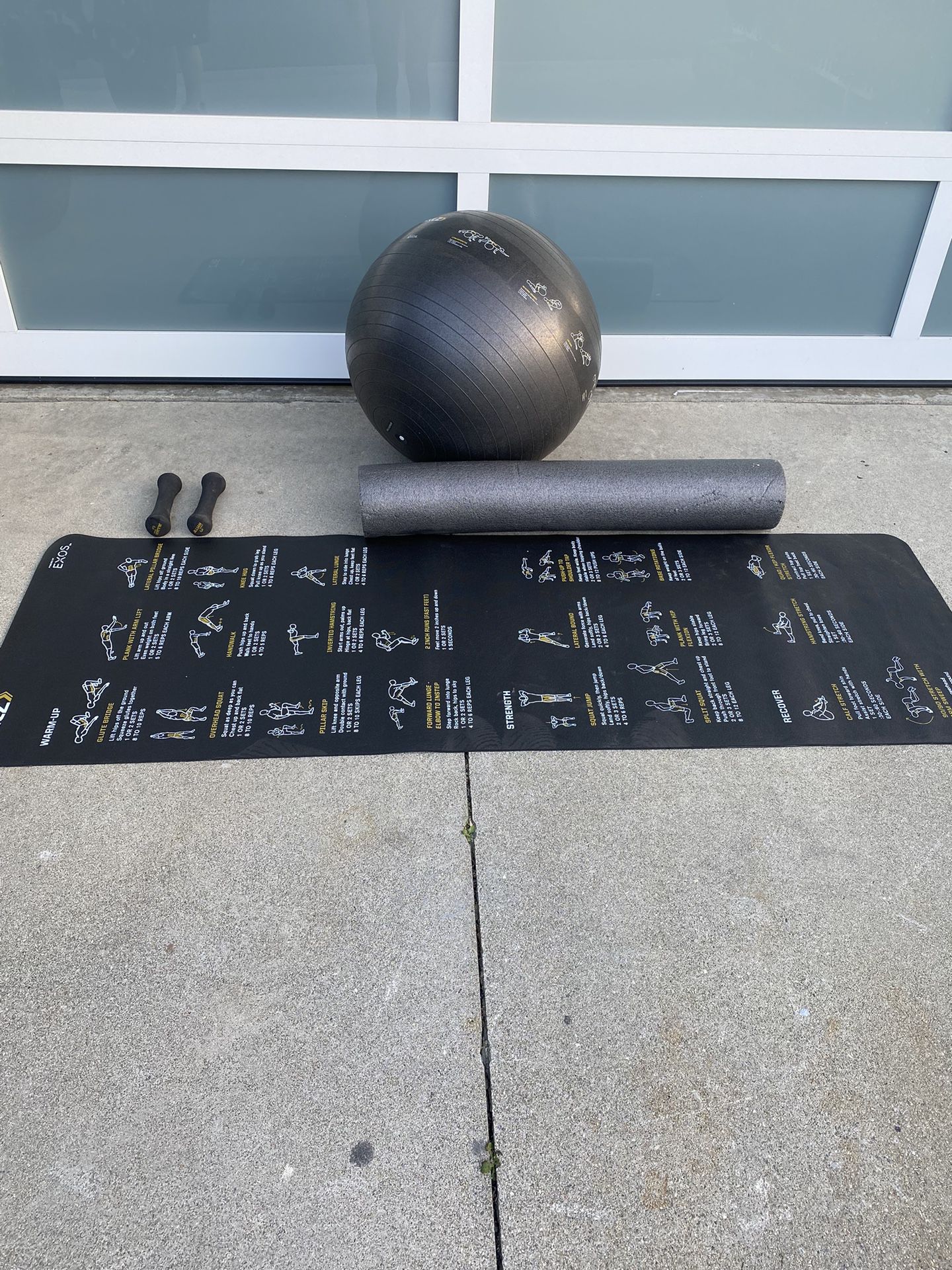 SKLZ Sport Exercise Ball with Self-Guided Workout Illustrations and exercise mat and dumbbell set