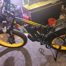 Ebike