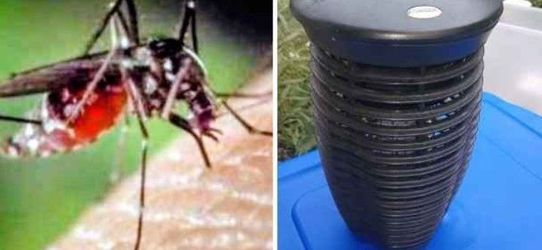 🔥🔥Say Bye Bye to Mosquitoes - electric Bug Zapper