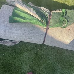 12x30 Turf/carpet