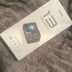 Go Pro 13 