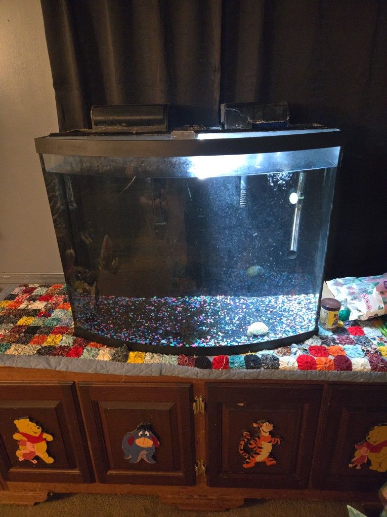40Gal Bowfront