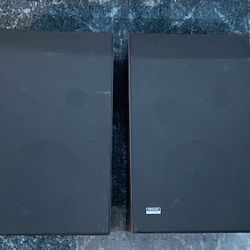 Virtuoso Tuned Port Stereo Turntabe Speakers