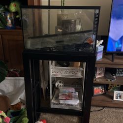 Tank and Stand