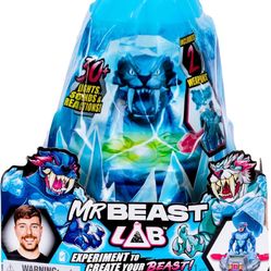 Mr Beast Ice Lab Reveal 