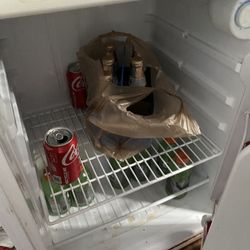 Mini Fridge 