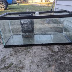 Saltwater Fish tank 