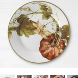 4 Williams-Sonoma Botanical Pumpkins 9" Salad Plates