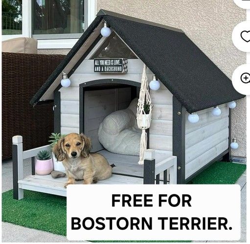 Free doghouse for Boston Terrier.