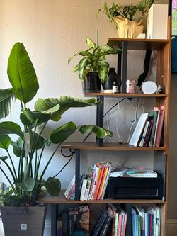 5-Tier Bookshelf / Display Shelf – $40 OBO