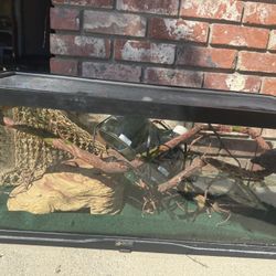 Reptile Enclosure + accessories 