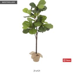 6.9 Ft Faux Pottery Barn Fiddle