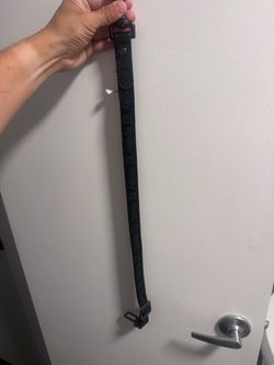 Reddy Black Dog Seat Belt