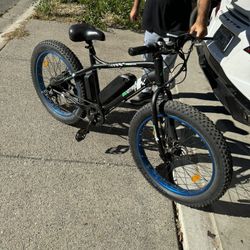 Ecotric Electric Bike