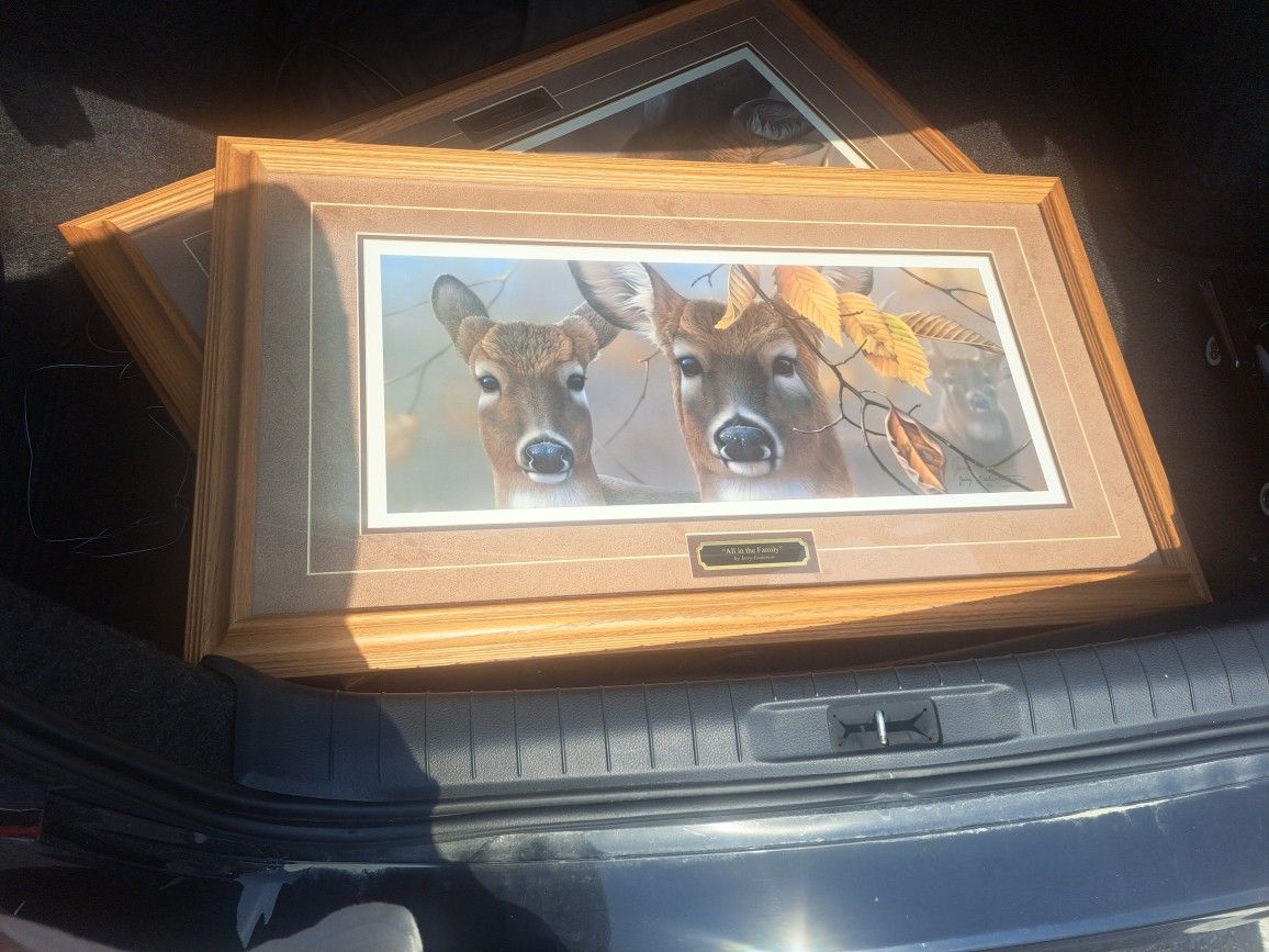 Deer Photo Signed And Certificate Of Authenticy