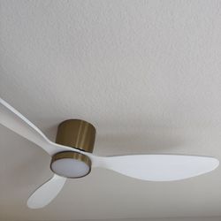 Ceiling Fan/ Modern