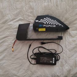 48v battery for GForce ZM ebike