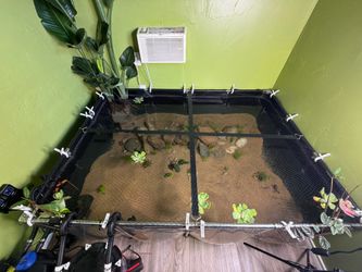 FX6, VIVOGROW canister filters, and Hygger Heaters