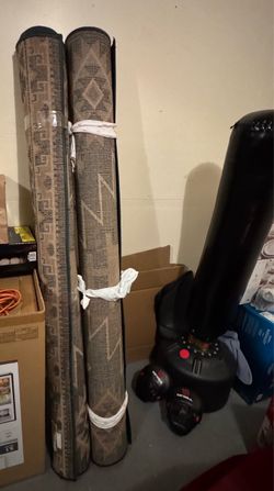 TWO CARPET FOR $40