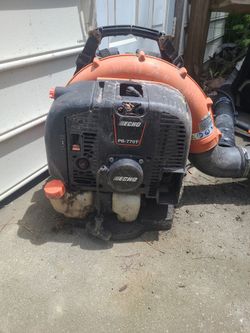 Echo Blower Parts. Locked Up..