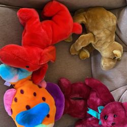 Beanie Baby’s 
