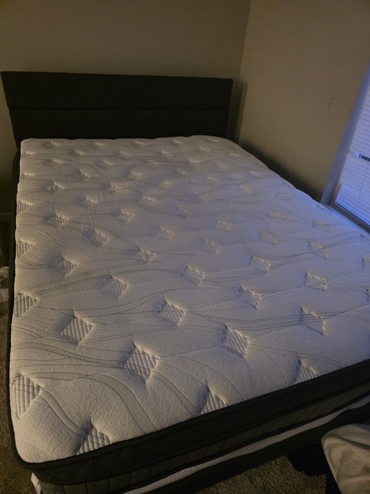 Queen Size Bed SET