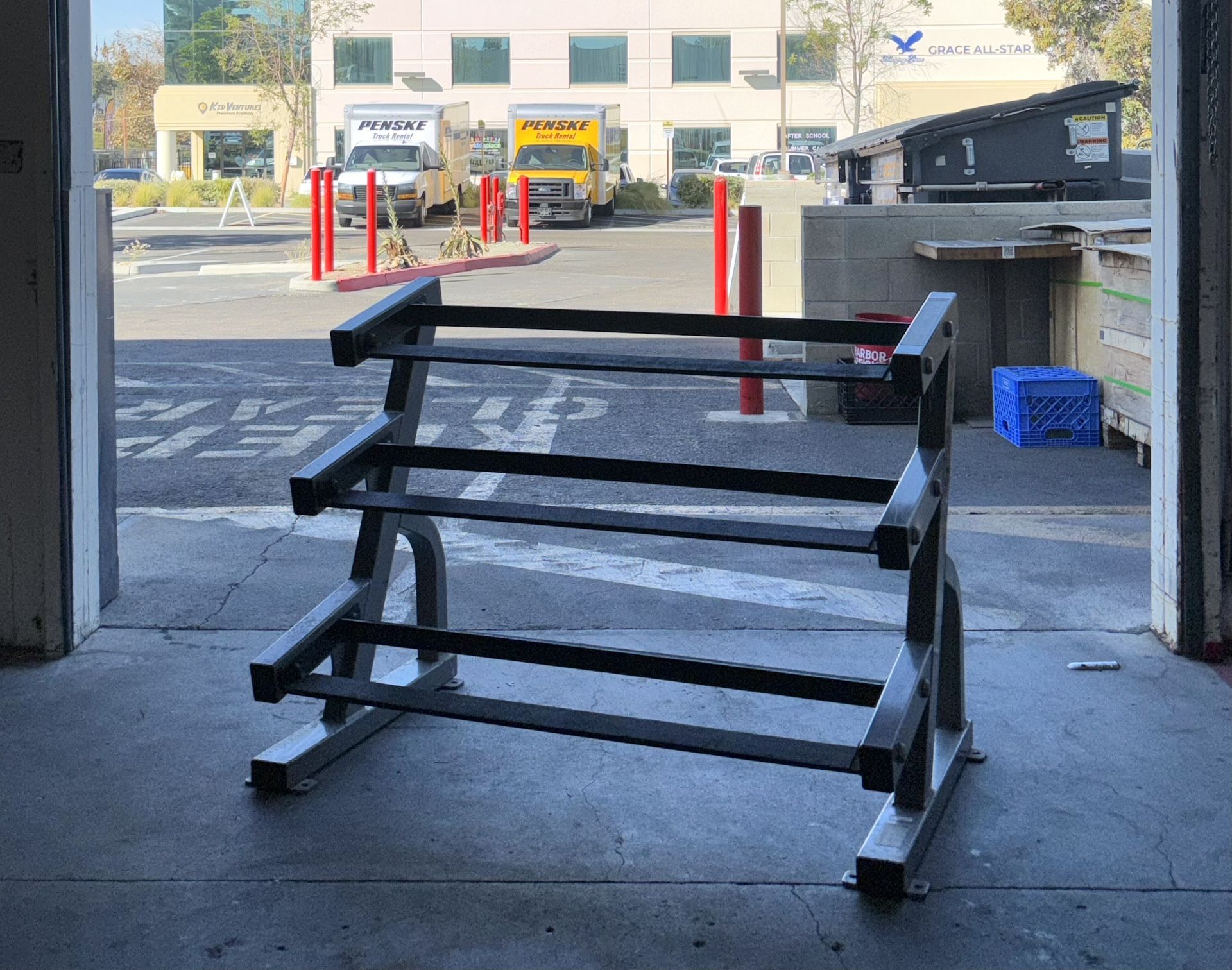 Life Fitness Dumbbell Rack (Rack Only)