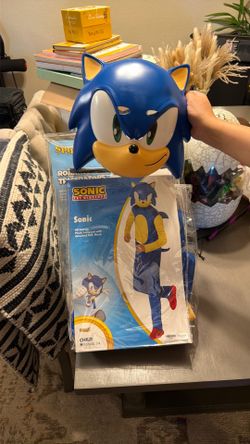 Sonic costume