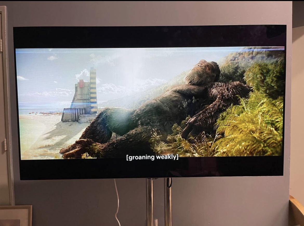 65” LG OLED 4K TV