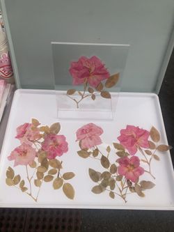 Clear 6 Pc Dried Flowers Stickers for Windows etc....$6