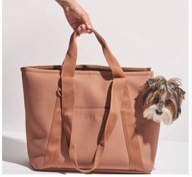Wild One Everyday Carrier