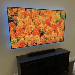 TV MOUNT