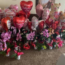 Valentines Flowers And Arrangements For Sale
