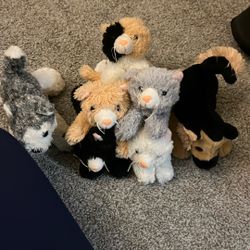 Cute Dog And Cat Plushies For Kids