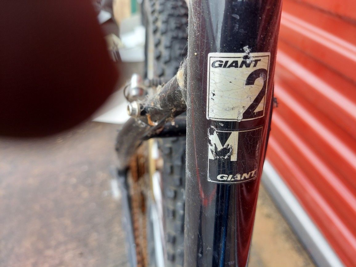 Giant Revel Bicycle