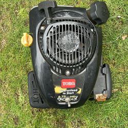 149cc Lawn Mower/ Go Cart Motor