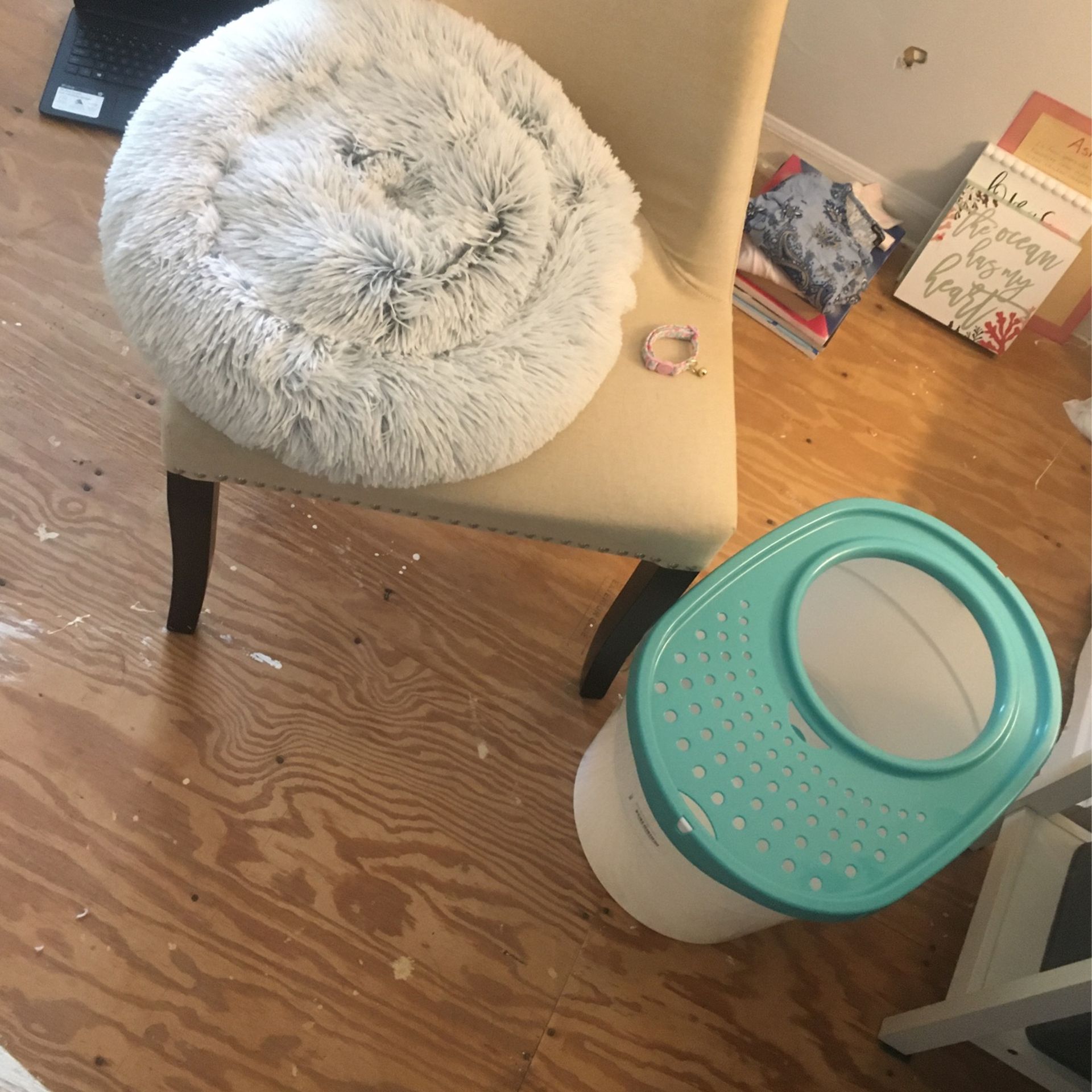 Never Used Cat Litter Box With Kid, Brand New Bed And Néw Kitten Collar