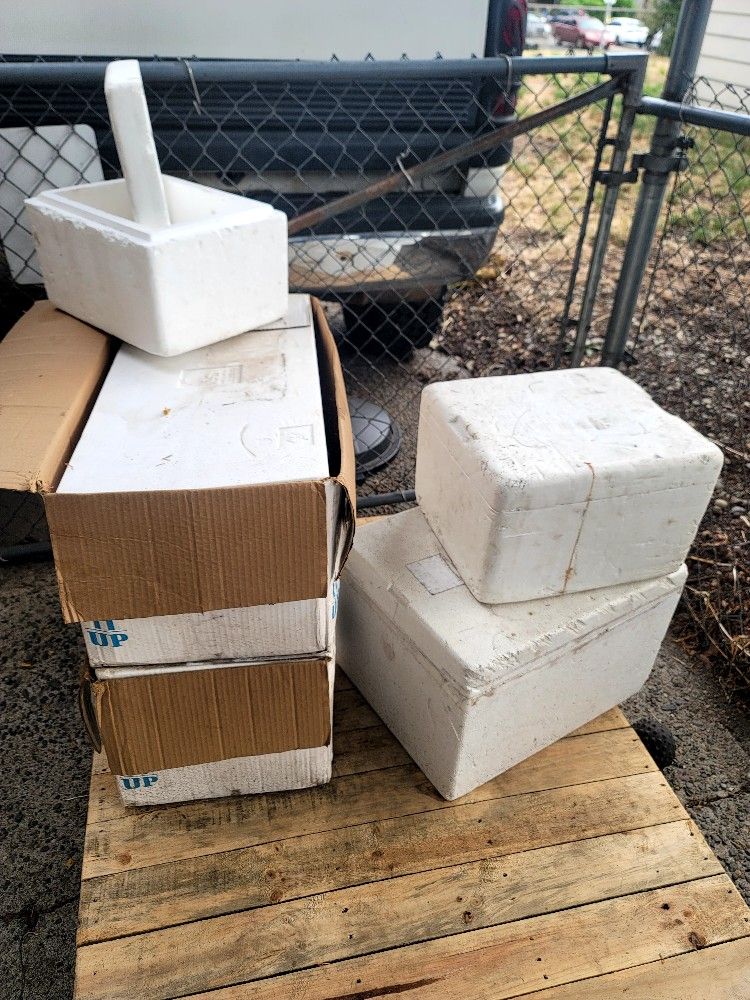 styrafoam containers