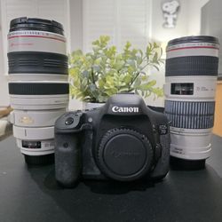 Canon DSLR 7D + 2 PREMIUM LENSES 