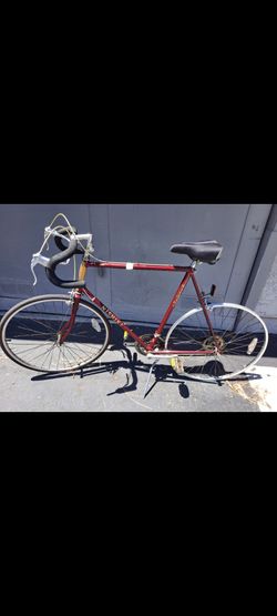 Vintage NISHIKI 10 speed bicycle 1980's Era