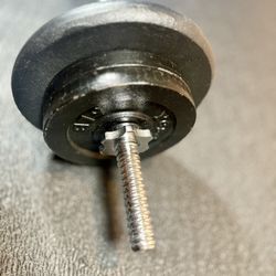 Standard Steel Curl Bar with Cast Iron Weight Plates pairs: 15#, & 4X 5 #. Total: 66 pounds