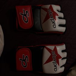 Star Pro MMA Glove
