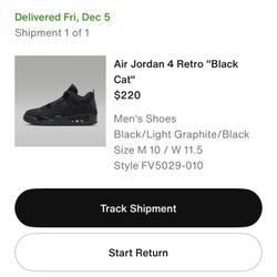 Air Jordan Black Cat 4s 