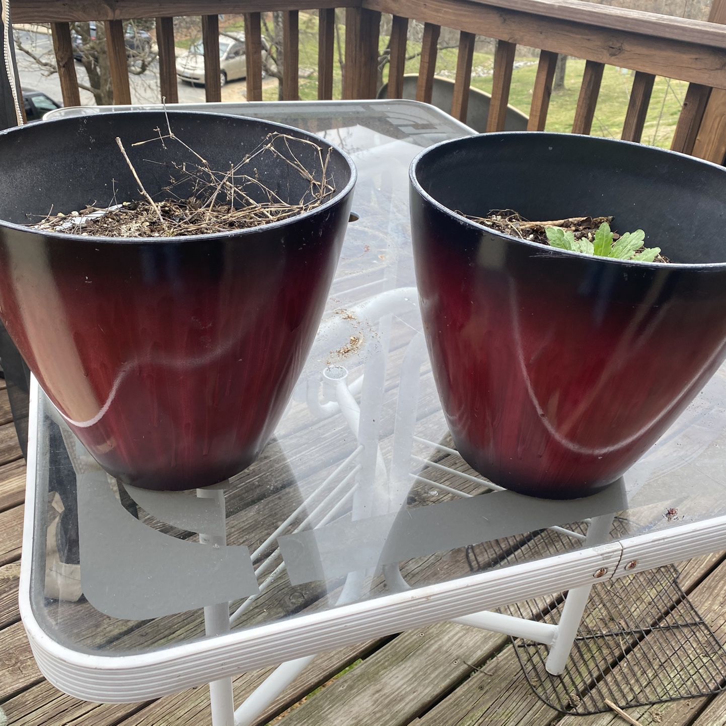 Two flower pots