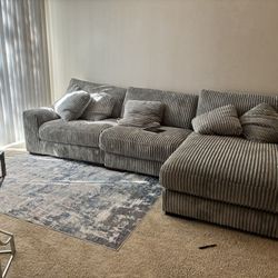 Gray Couches 