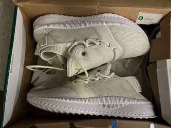 Pumas
