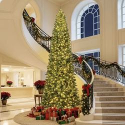 Free 16 Feet Christmas Tree 