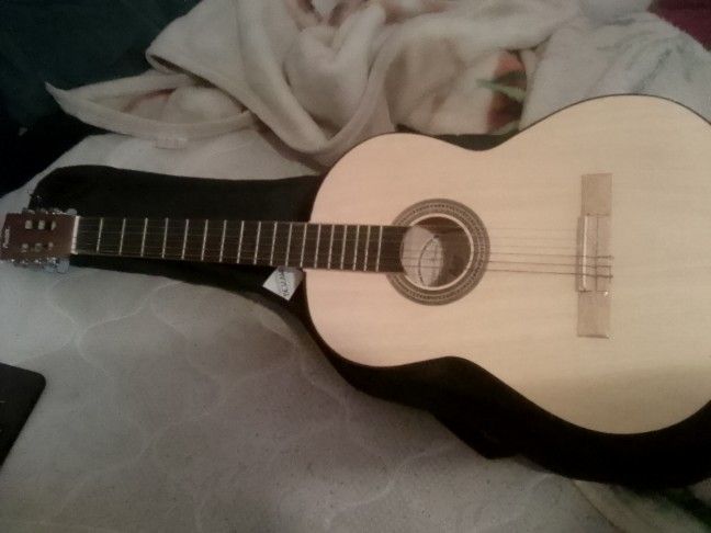 Guitar