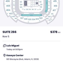 Luis Miguel Concert 
