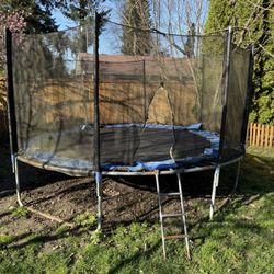 Free Trampoline 